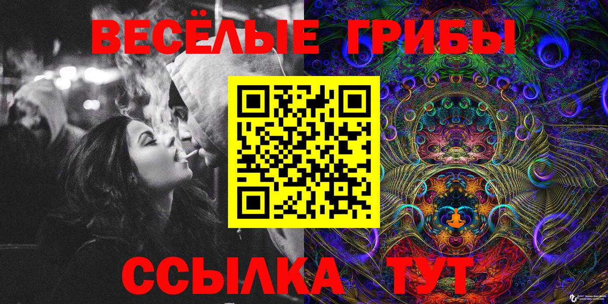 Псилоцибиновые грибы GOLDEN TEACHER  Вход с VPN  Галлюциногенные грибы мухоморы  Строитель 