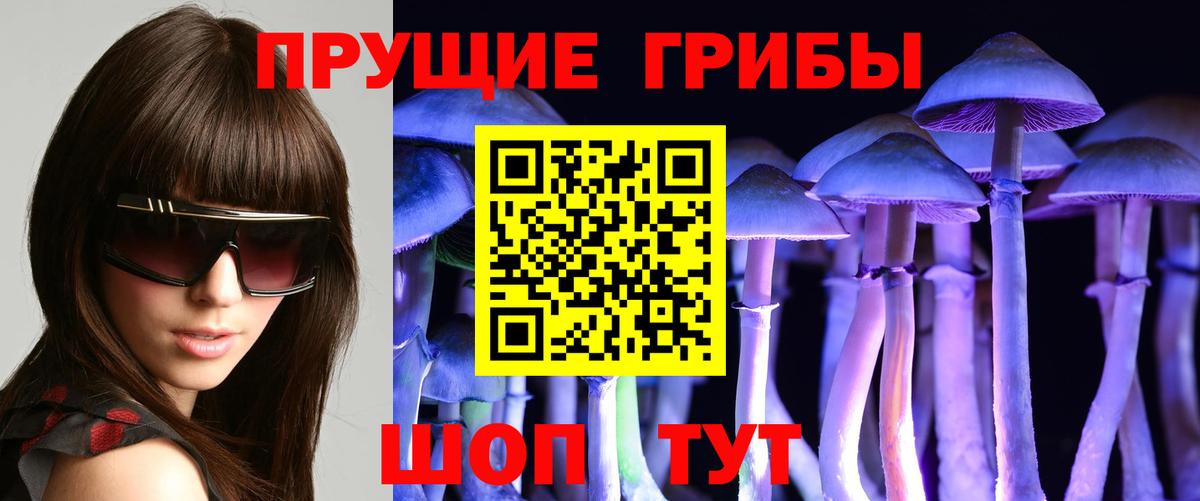 Псилоцибиновые грибы Psilocybine cubensis Строитель